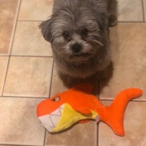 Meet your Posher, Pam